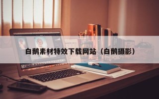 阜宁白鹅素材特效下载网站（白鹅摄影）